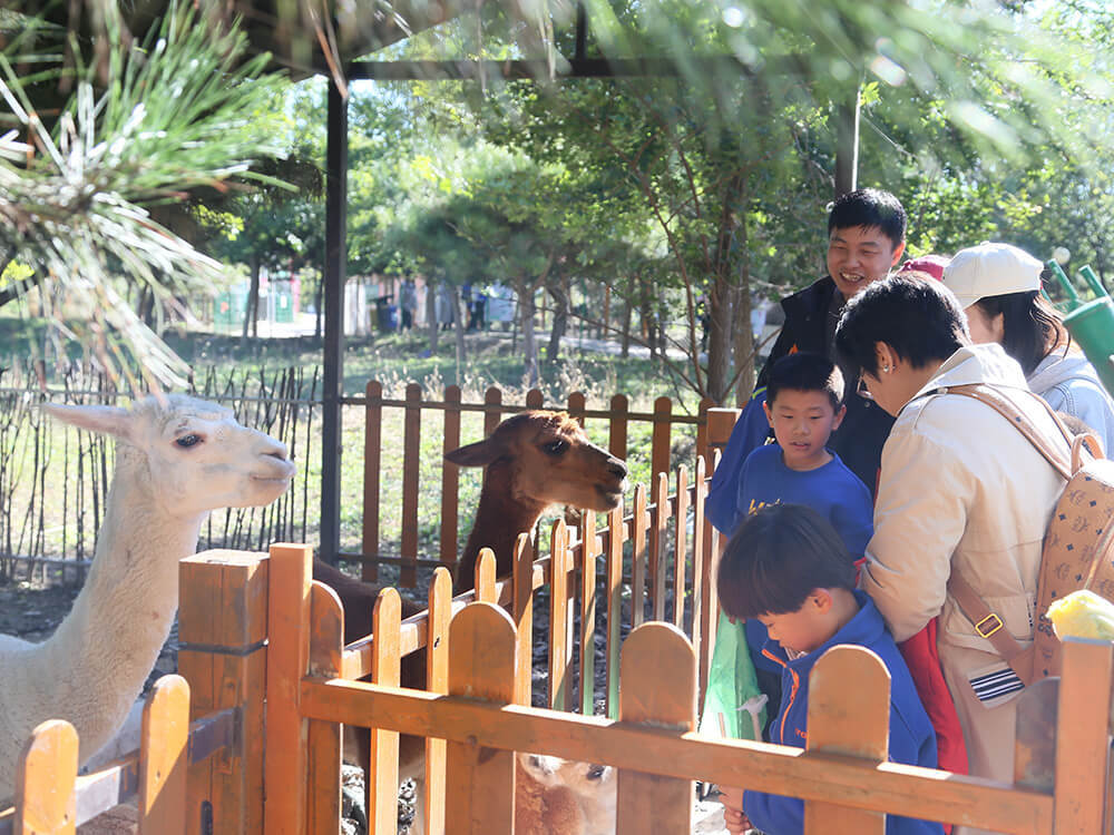 第五季動物樂園 第五季動物樂園