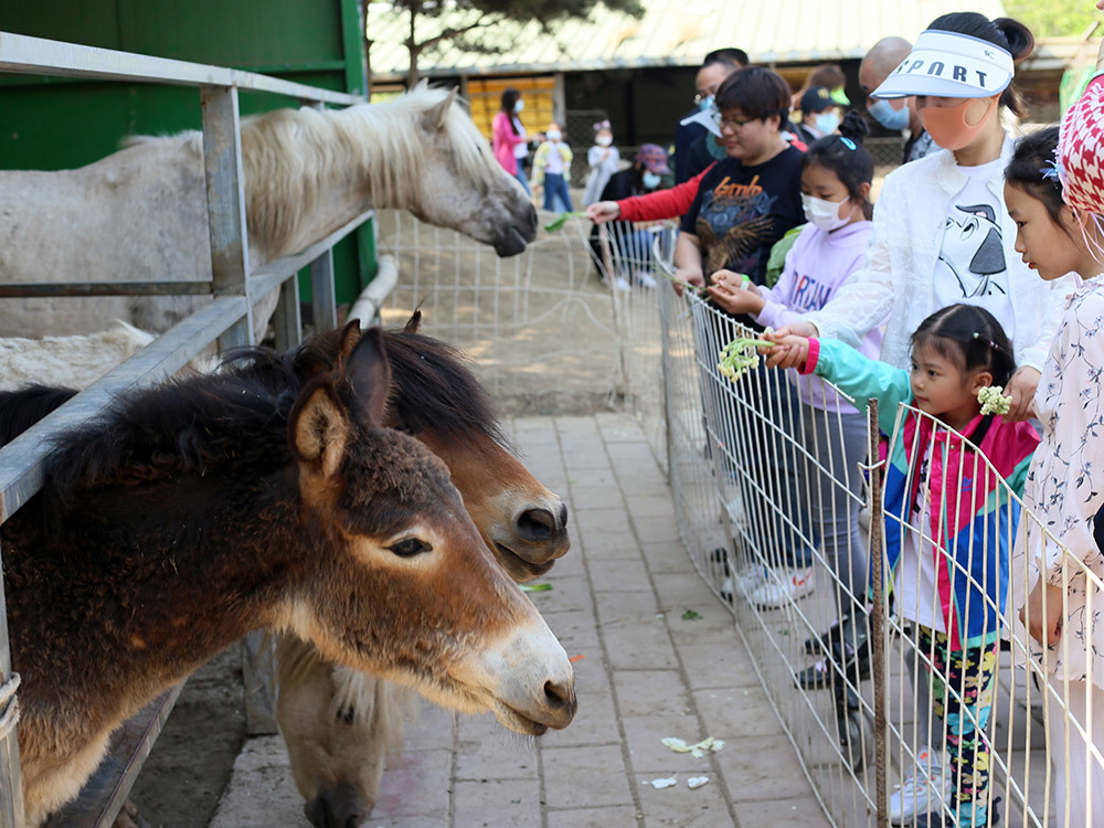 第五季動物樂園 第五季動物樂園