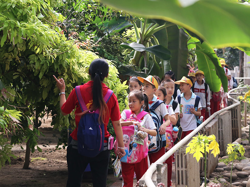 熱(rè)帶水果園 熱(rè)帶水果園