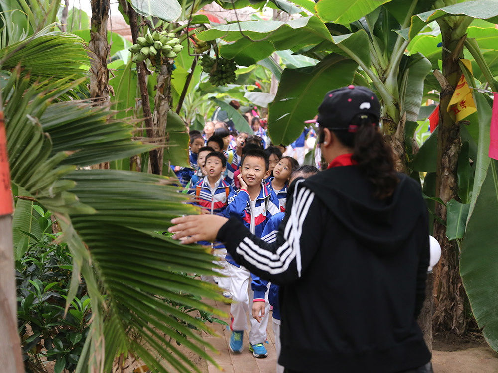 第五季台灣熱(rè)帶水果園 第五季台灣熱(rè)帶水果園