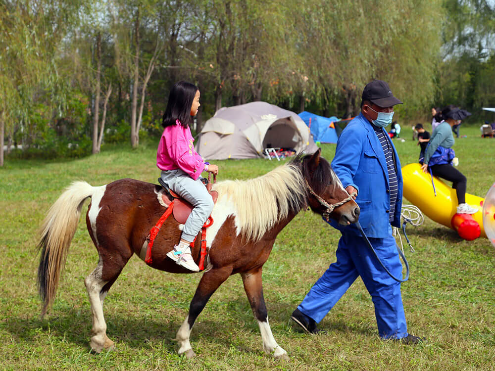 第五季動物樂園 第五季動物樂園