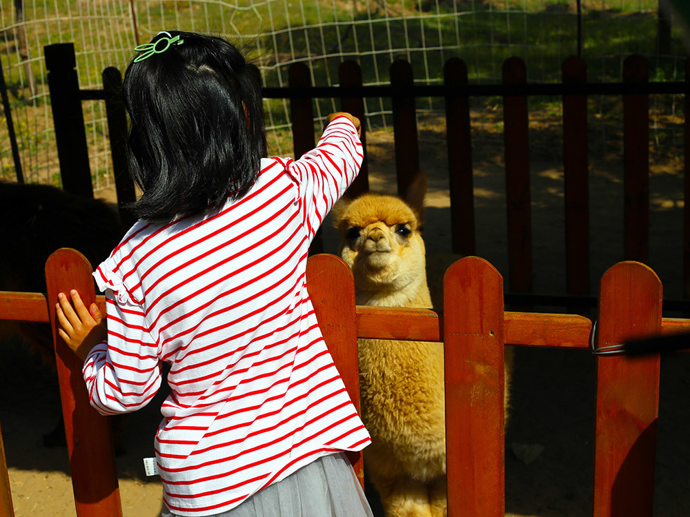 第五季動物樂園 第五季動物樂園