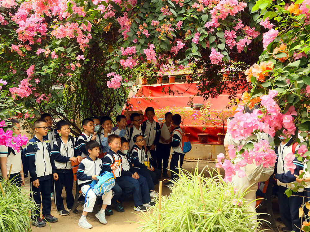 第五季台灣熱(rè)帶水果園 第五季台灣熱(rè)帶水果園