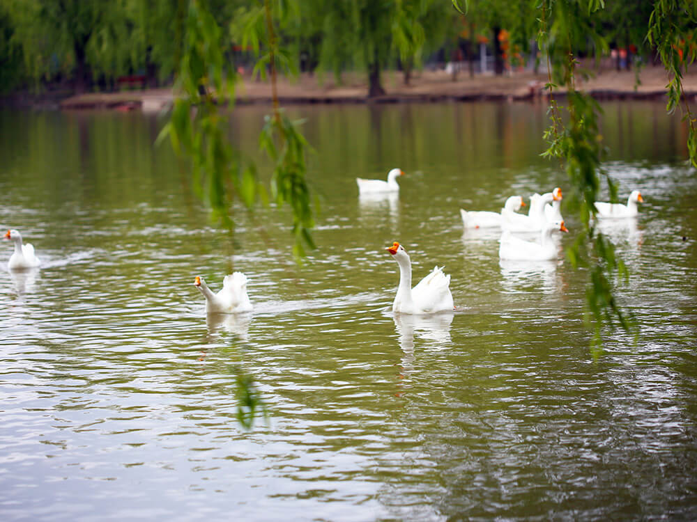 第五季動物樂園 第五季動物樂園