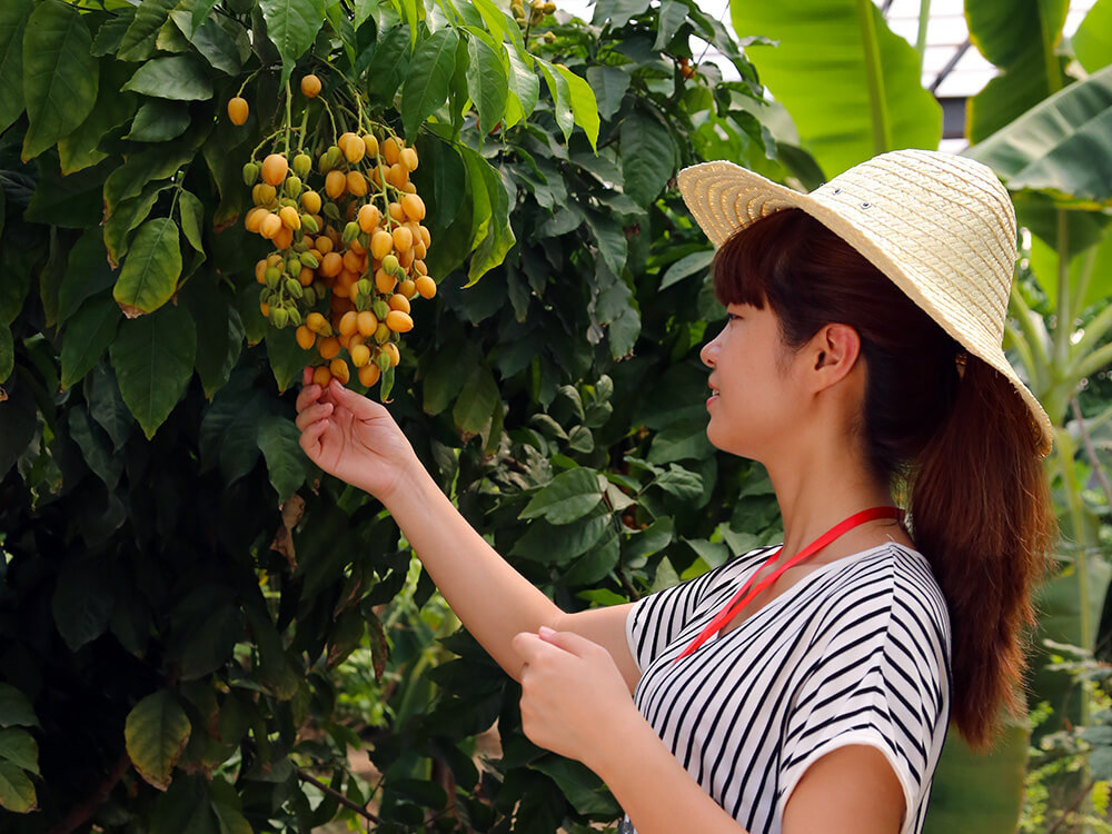 第五季循環經濟農業與有機(jī)農産品 第五季循環經濟農業與有機(jī)農産品