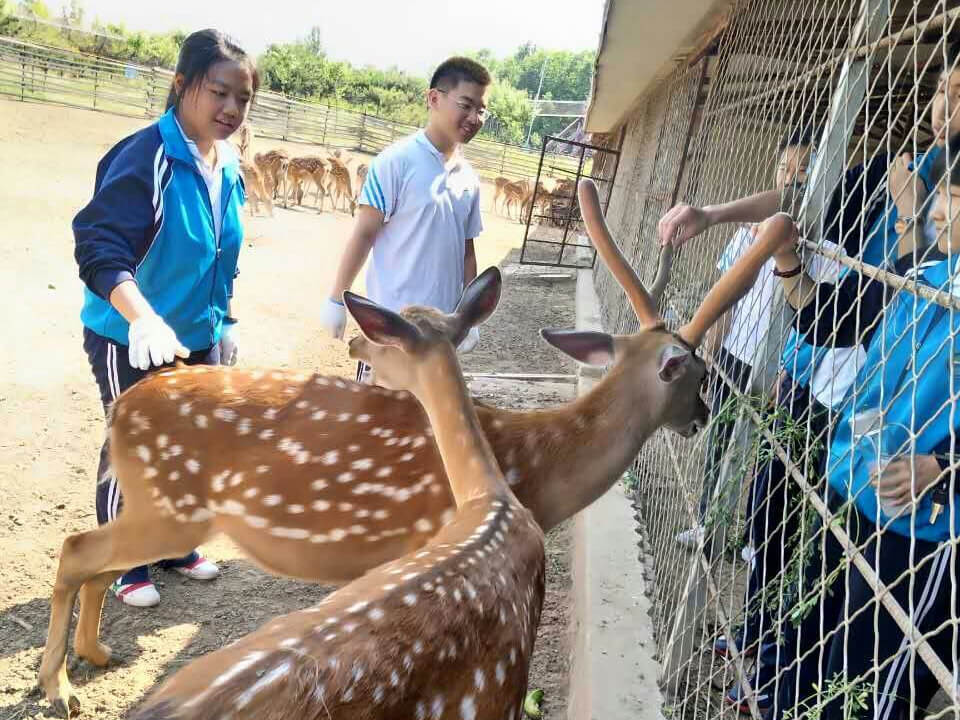 第五季動物樂園 第五季動物樂園