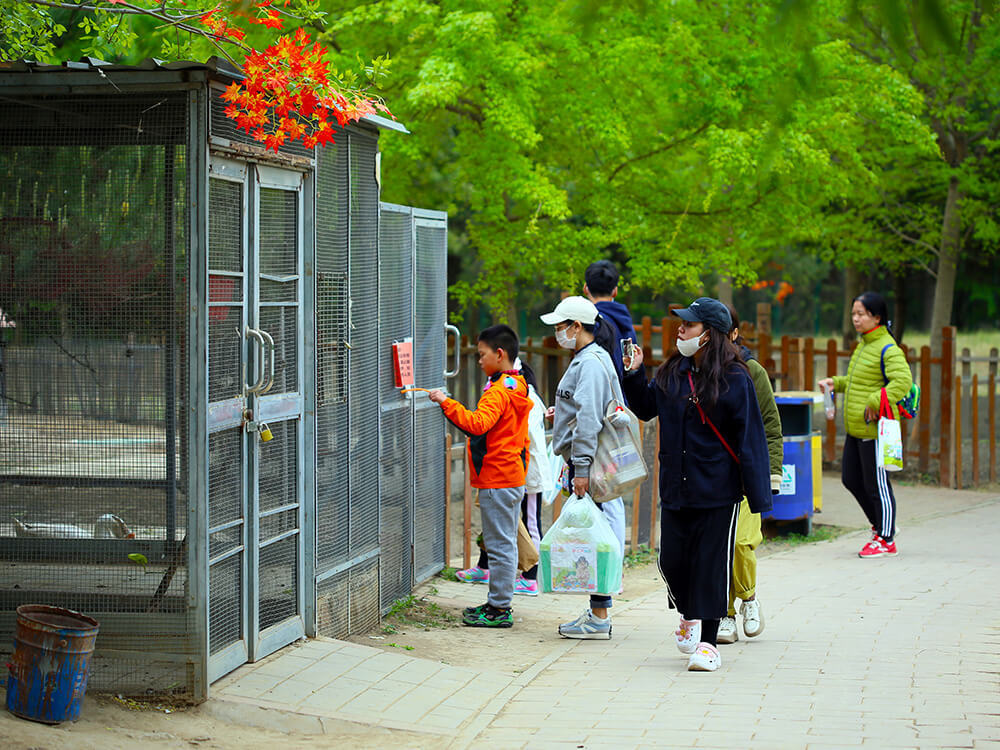 走進大(dà)美田園-親子一日(rì)遊 走進大(dà)美田園-親子一日(rì)遊