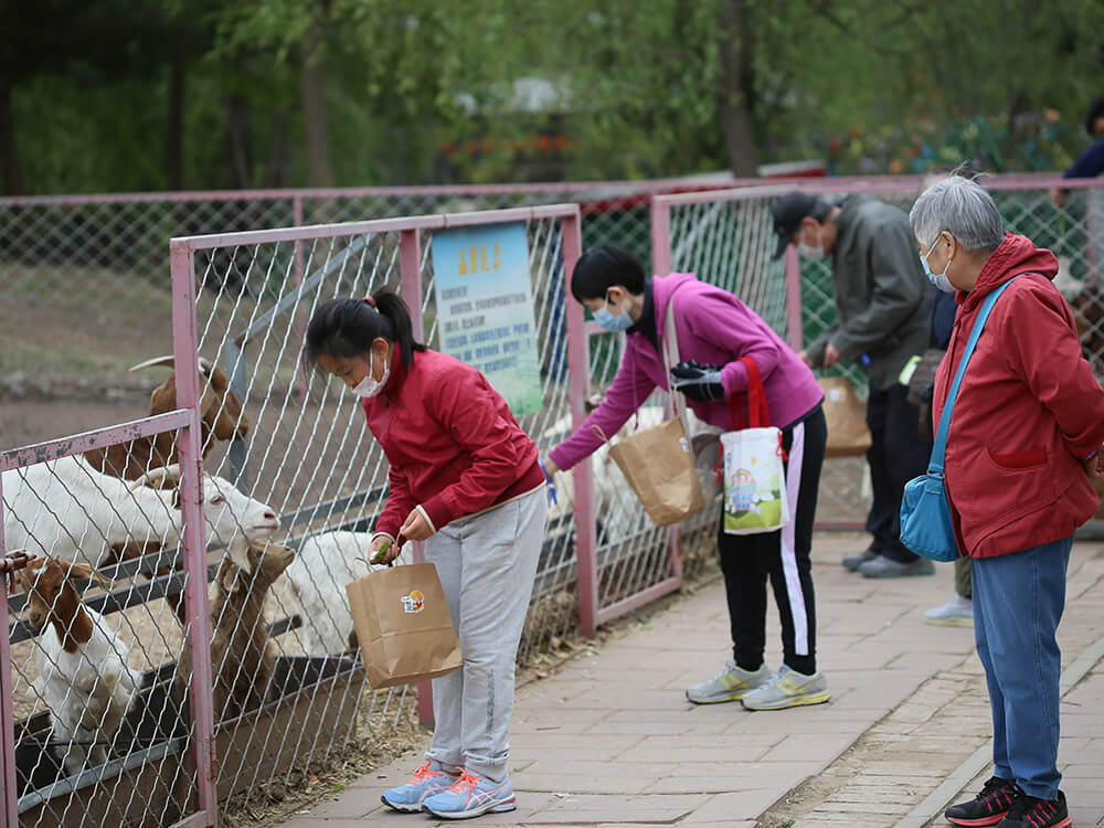 第五季動物樂園 第五季動物樂園